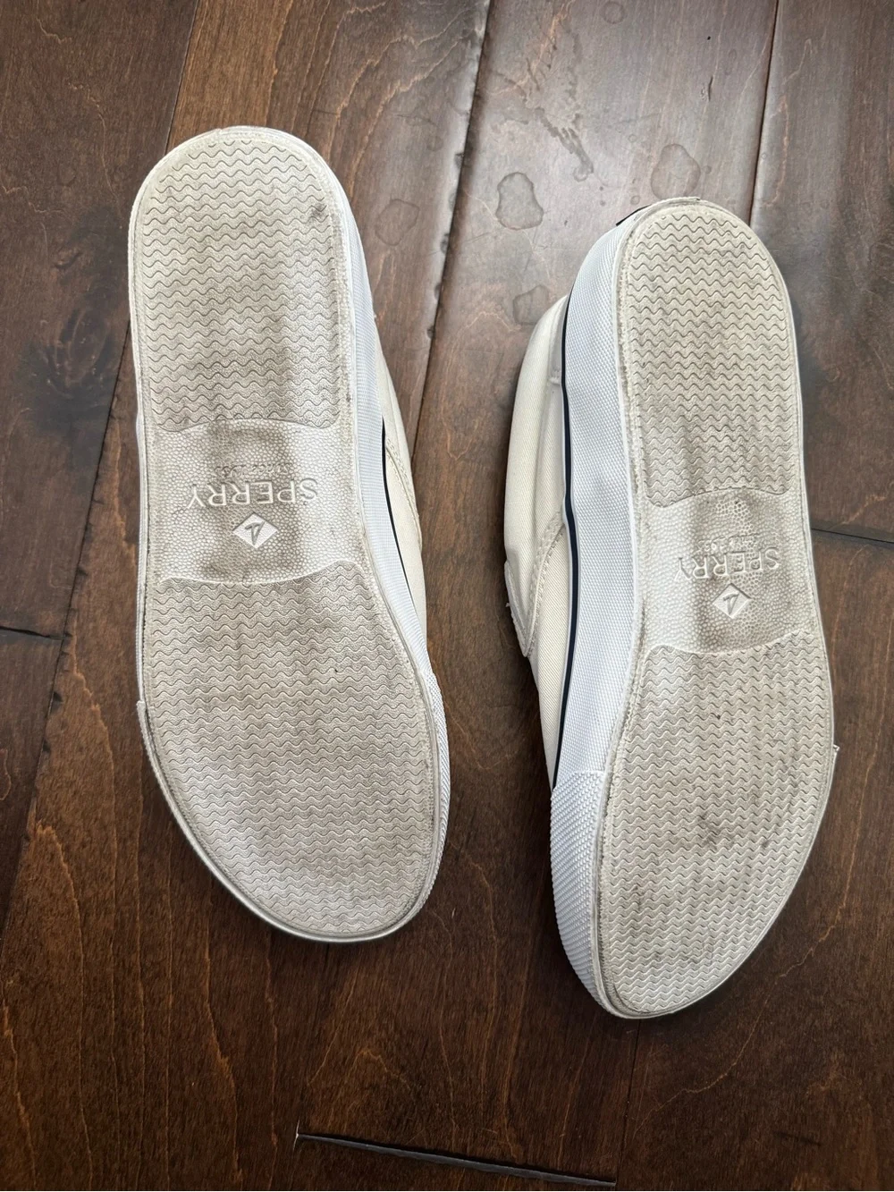Sperry classic top